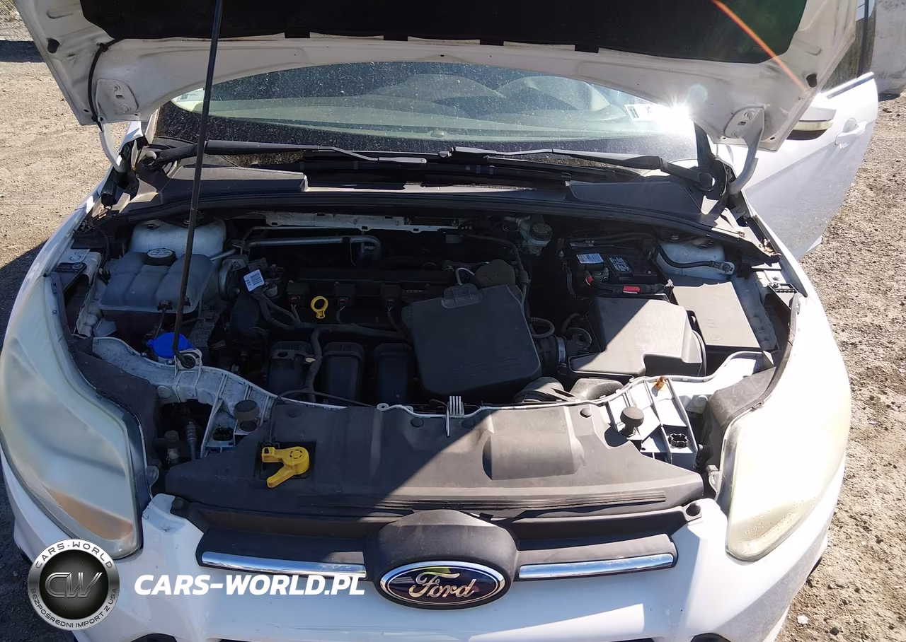 2014 Ford Focus Se VIN:1FADP3F29EL146948 - 10