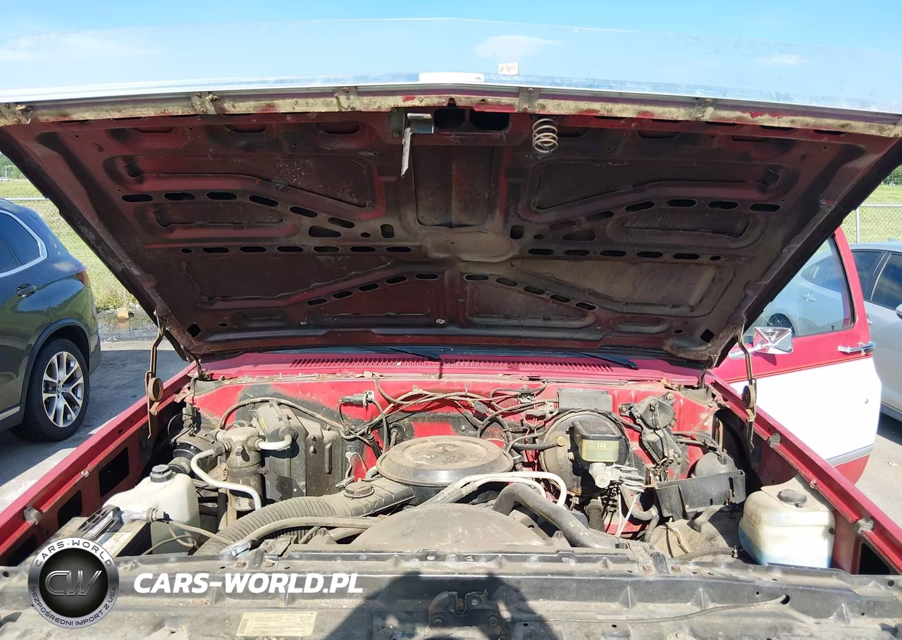 1986 Chevrolet C10 VIN:1GCDC14H7GS162429 - 10