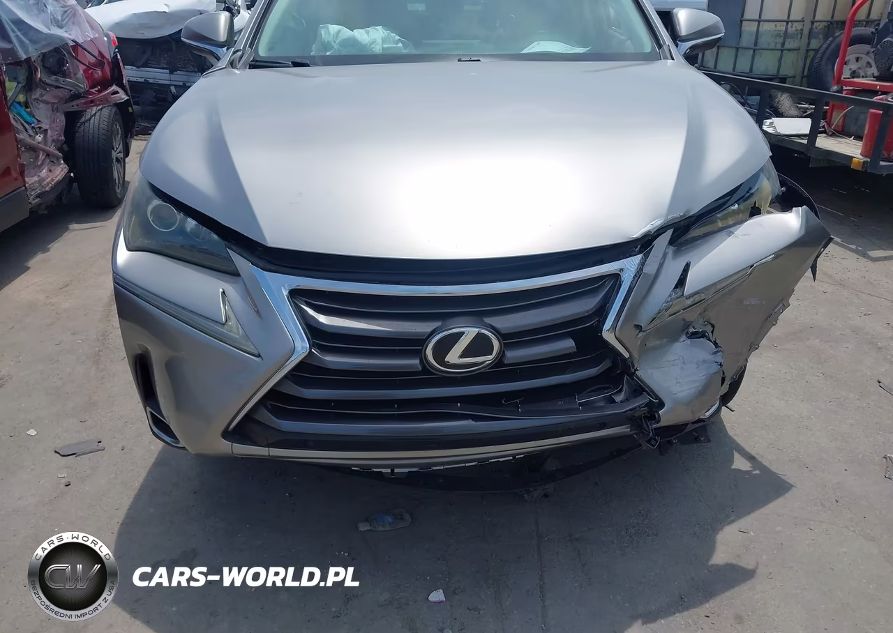 2015 Lexus Nx 200T VIN:JTJYARBZ0F2008576 - 6