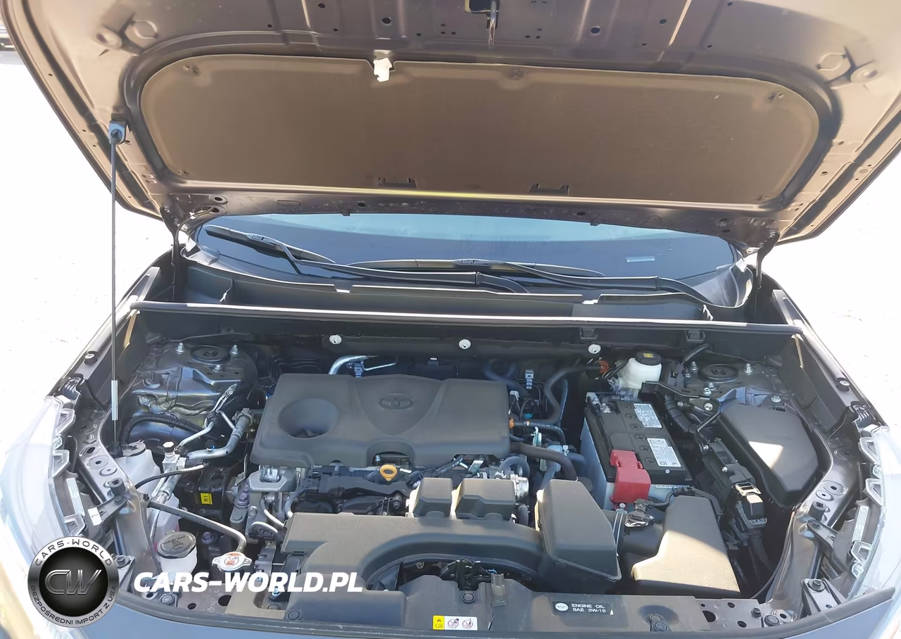 2025 Toyota Rav4 Xle Premium VIN:2T3C1RFV3SC345766 - 10
