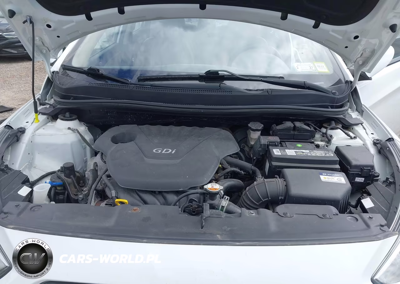 2016 Hyundai Accent Se VIN:KMHCT4AE8GU969100 - 10