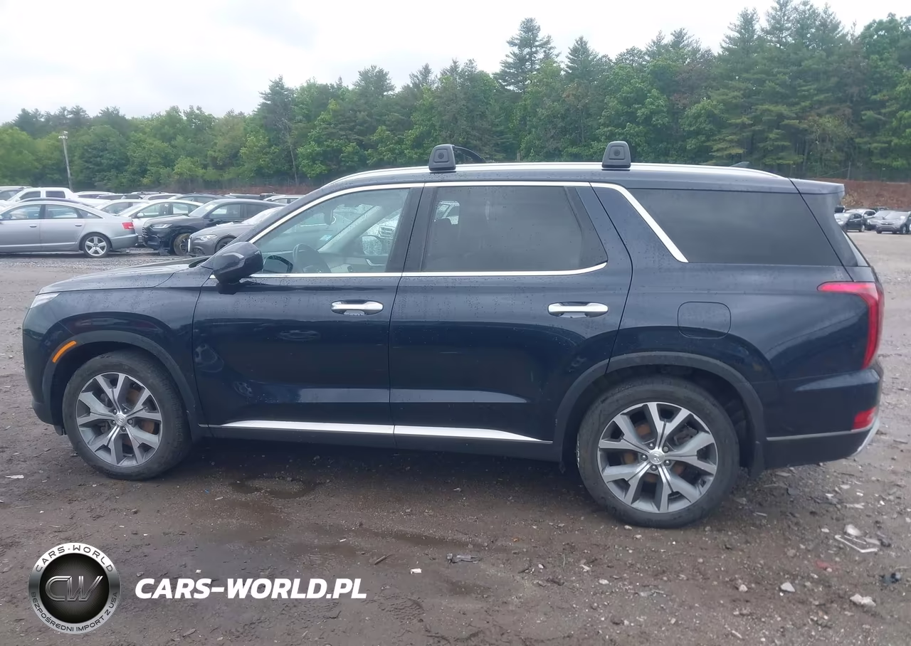 2021 Hyundai Palisade Sel VIN:KM8R4DHEXMU232201 - 14