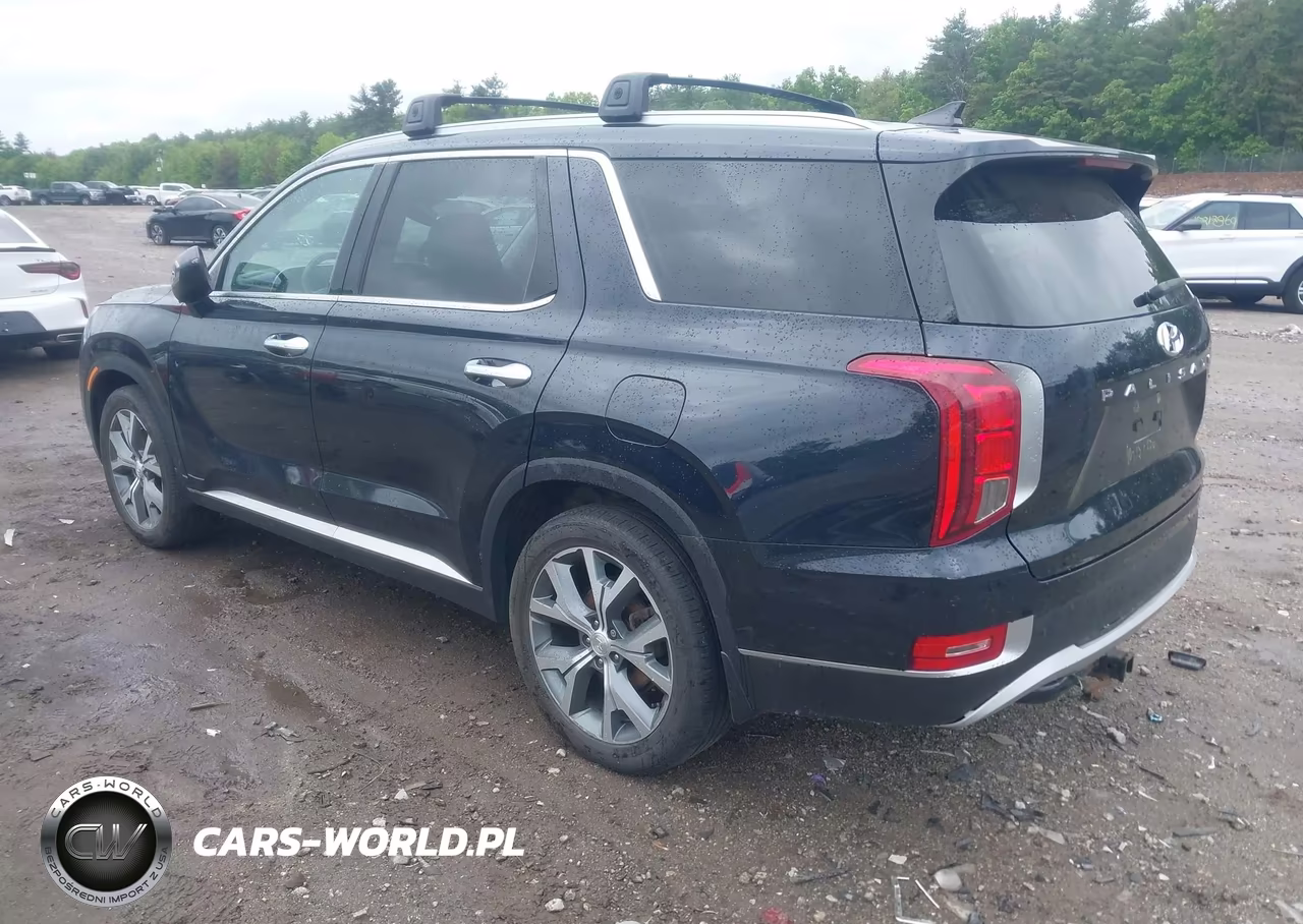 2021 Hyundai Palisade Sel VIN:KM8R4DHEXMU232201 - 3