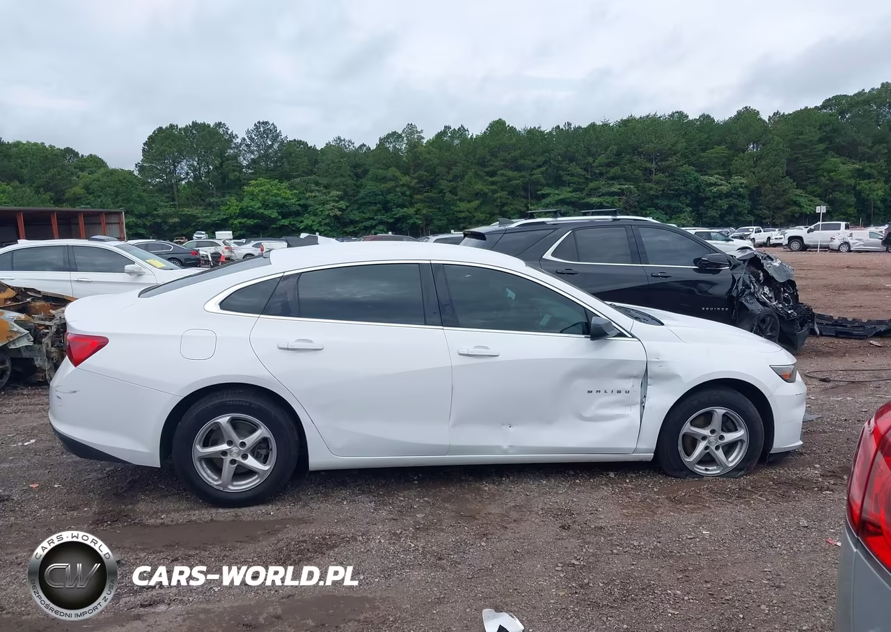 2018 Chevrolet Malibu 1Fl VIN:1G1ZC5ST3JF123463 - 13