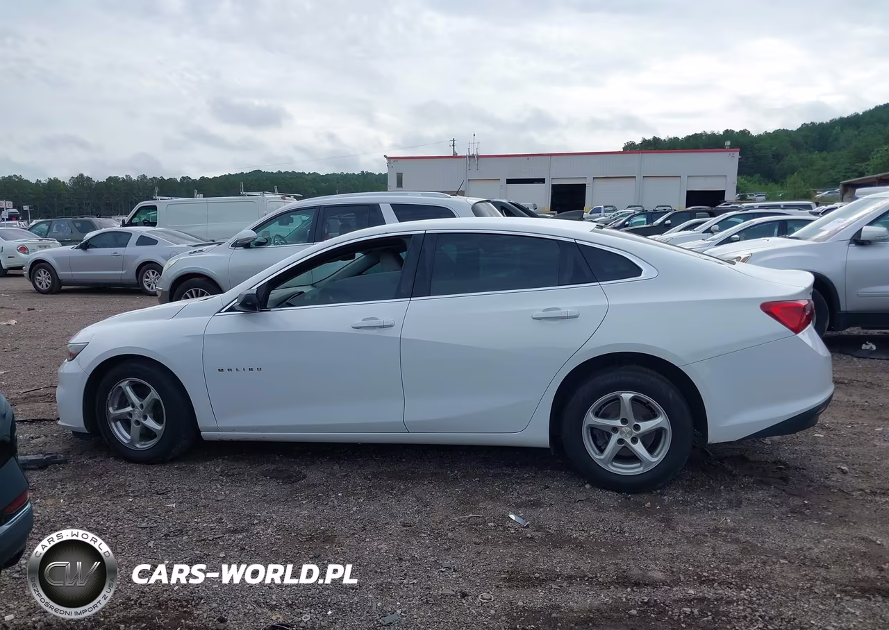 2018 Chevrolet Malibu 1Fl VIN:1G1ZC5ST3JF123463 - 14