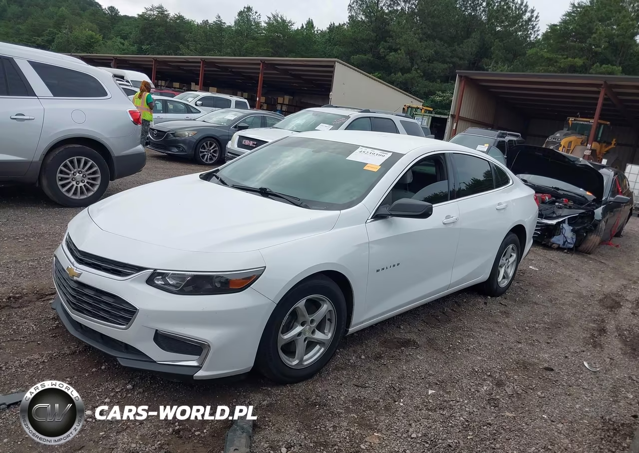 2018 Chevrolet Malibu 1Fl VIN:1G1ZC5ST3JF123463 - 2