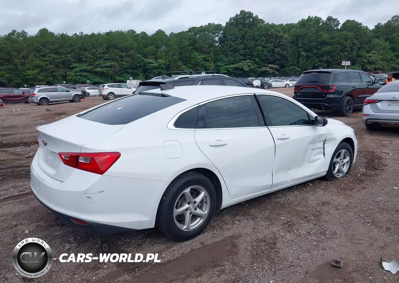 2018 Chevrolet Malibu 1Fl VIN:1G1ZC5ST3JF123463 - 4