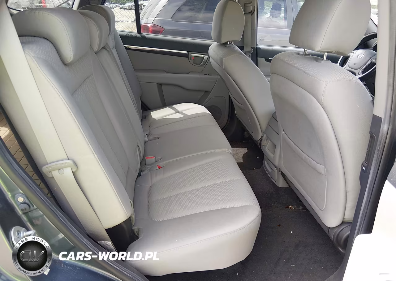 2009 Hyundai Santa Fe Gls VIN:5NMSG13D39H265145 - 8