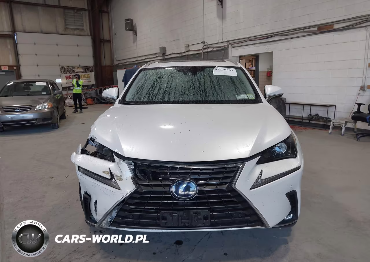 2020 Lexus Nx 300H VIN:JTJGJRDZ4L5008485 - 12