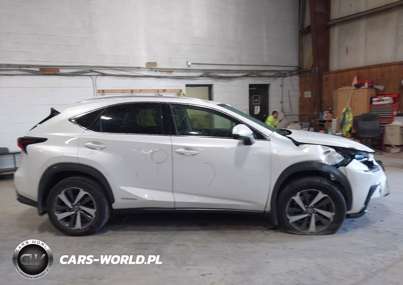 2020 Lexus Nx 300H VIN:JTJGJRDZ4L5008485 - 13