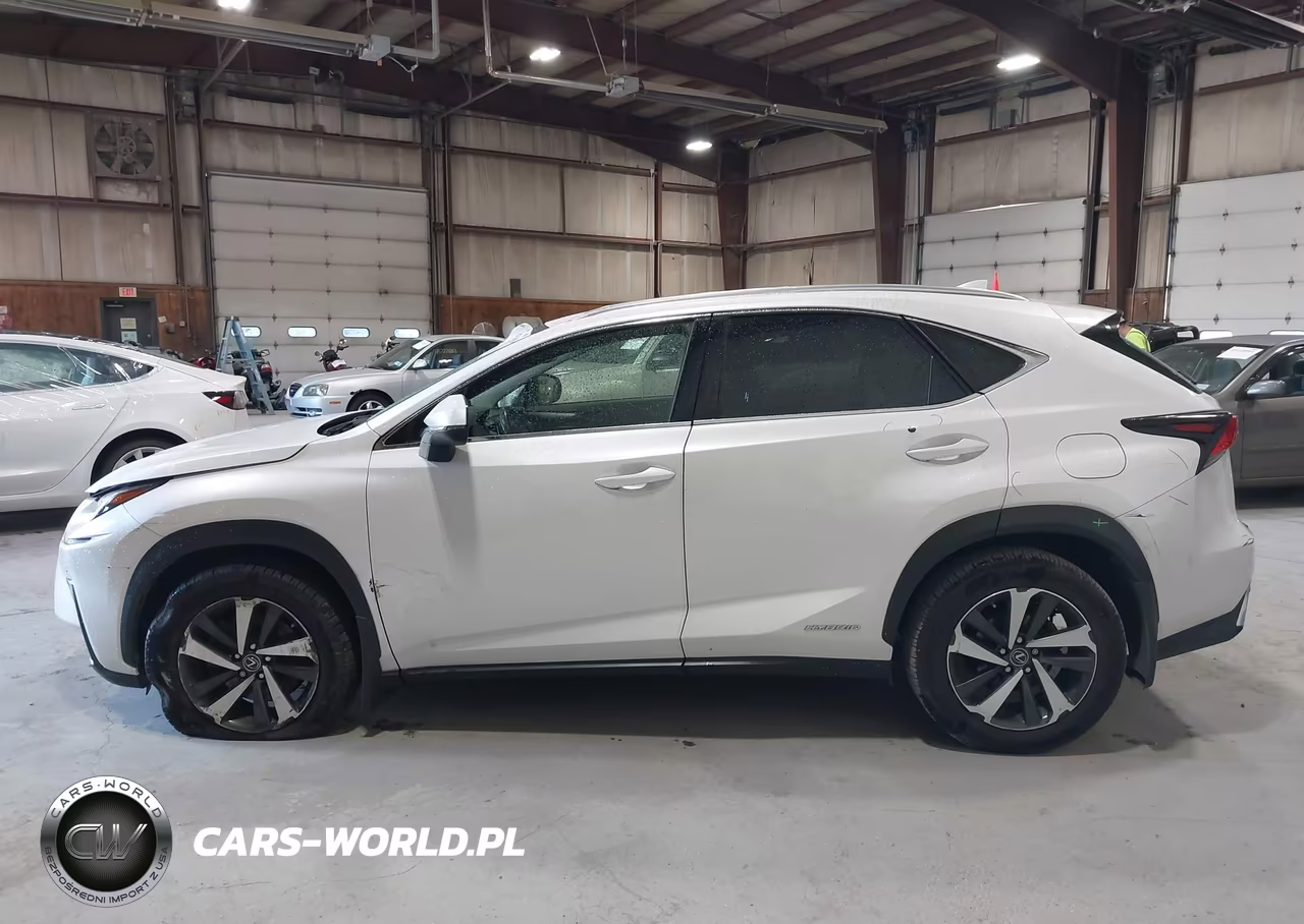 2020 Lexus Nx 300H VIN:JTJGJRDZ4L5008485 - 14