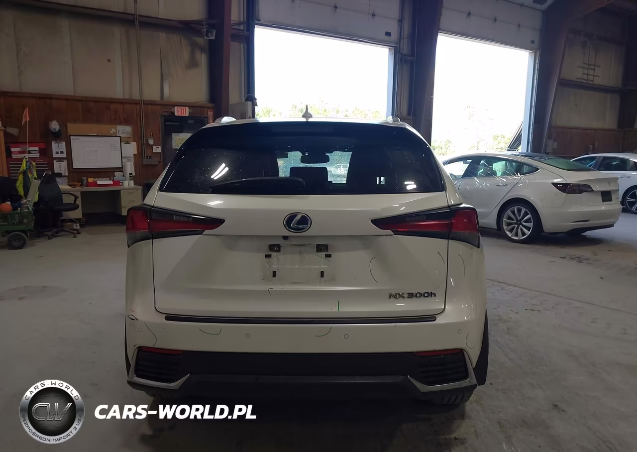 2020 Lexus Nx 300H VIN:JTJGJRDZ4L5008485 - 16