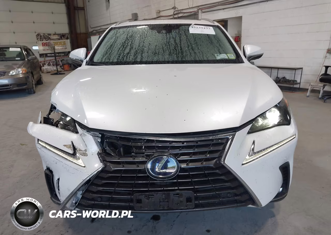2020 Lexus Nx 300H VIN:JTJGJRDZ4L5008485 - 17