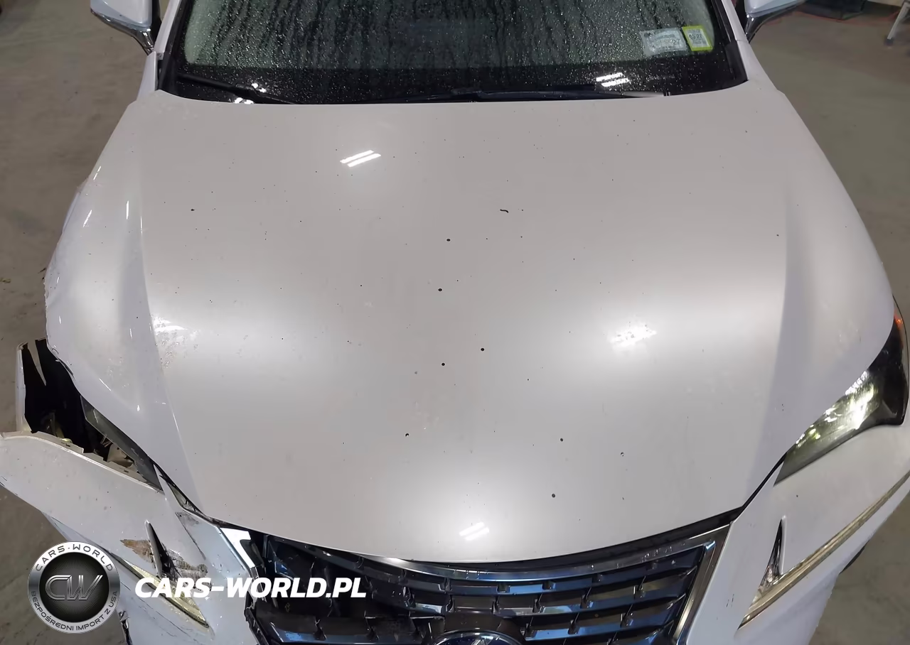 2020 Lexus Nx 300H VIN:JTJGJRDZ4L5008485 - 18