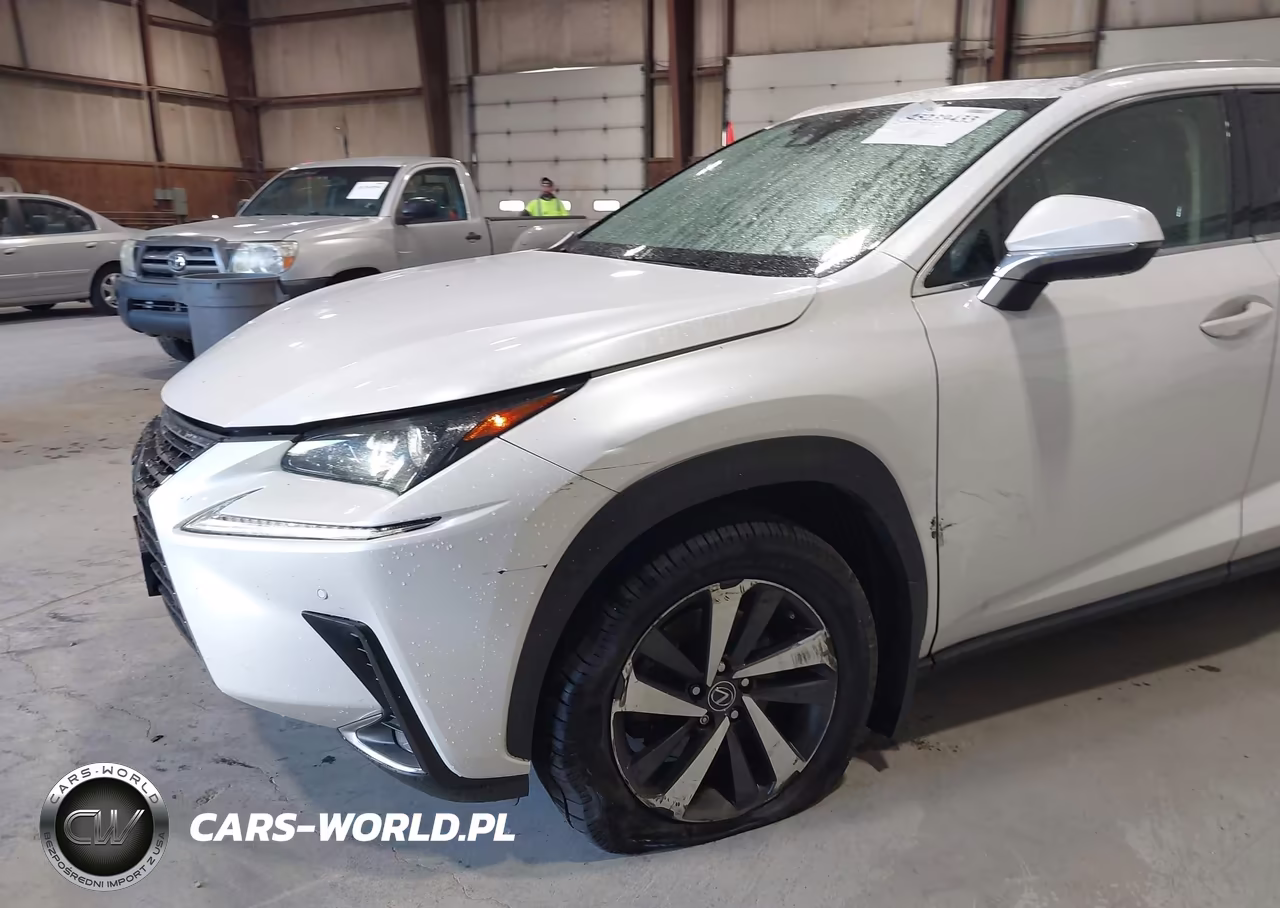 2020 Lexus Nx 300H VIN:JTJGJRDZ4L5008485 - 19