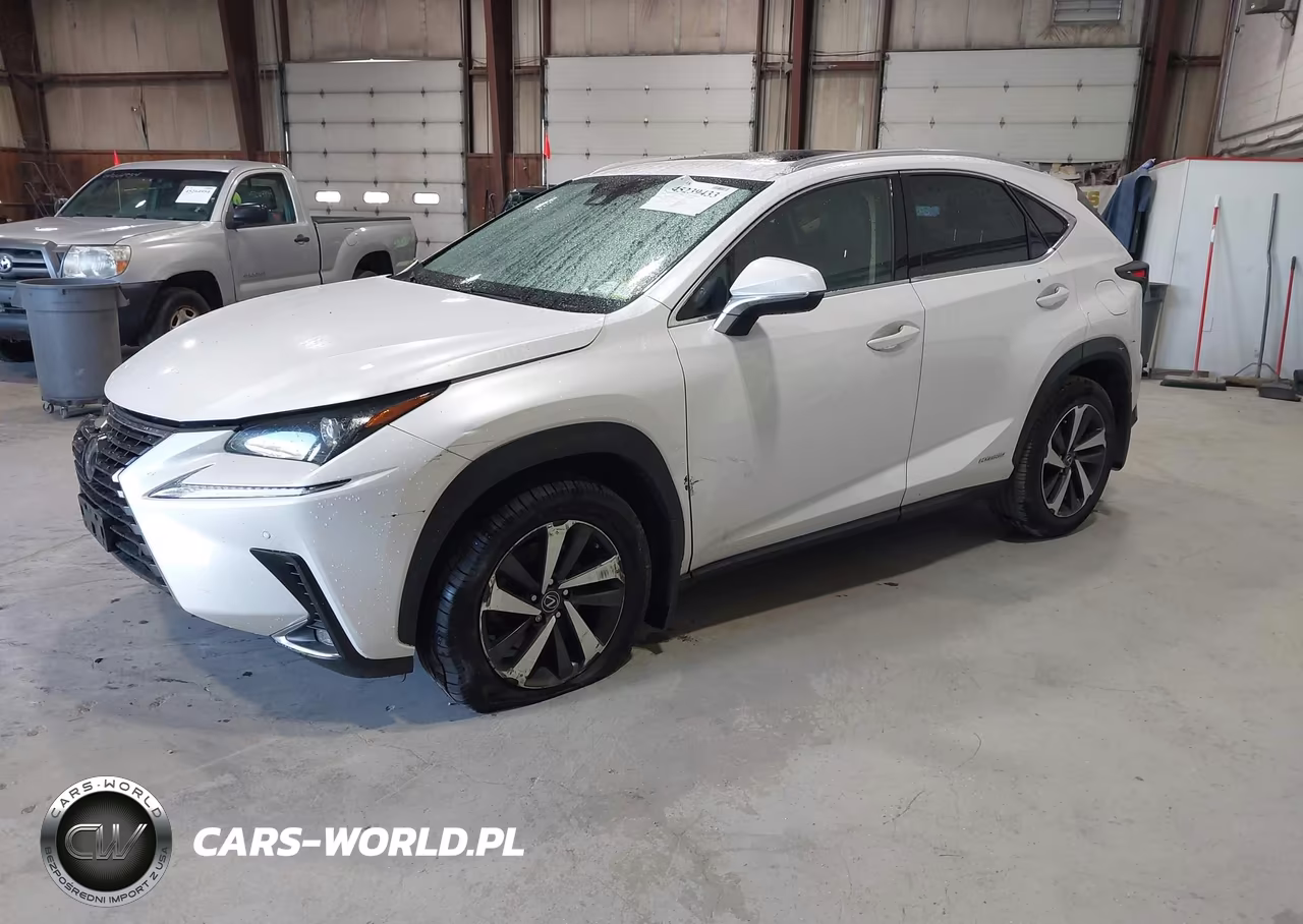 2020 Lexus Nx 300H VIN:JTJGJRDZ4L5008485 - 2