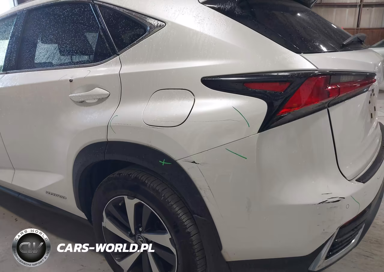 2020 Lexus Nx 300H VIN:JTJGJRDZ4L5008485 - 20