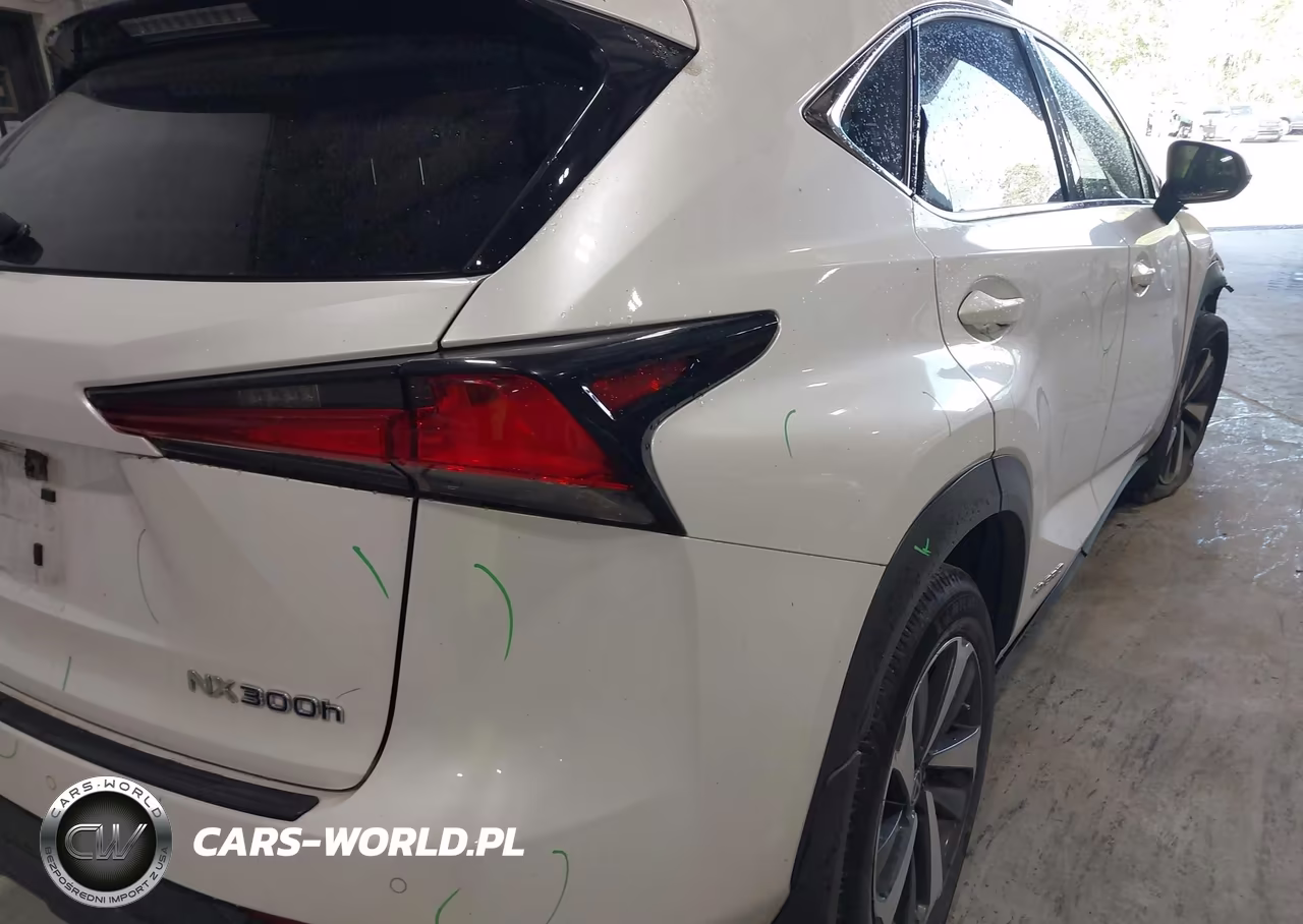 2020 Lexus Nx 300H VIN:JTJGJRDZ4L5008485 - 21