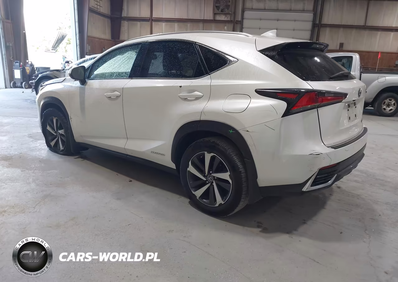 2020 Lexus Nx 300H VIN:JTJGJRDZ4L5008485 - 3