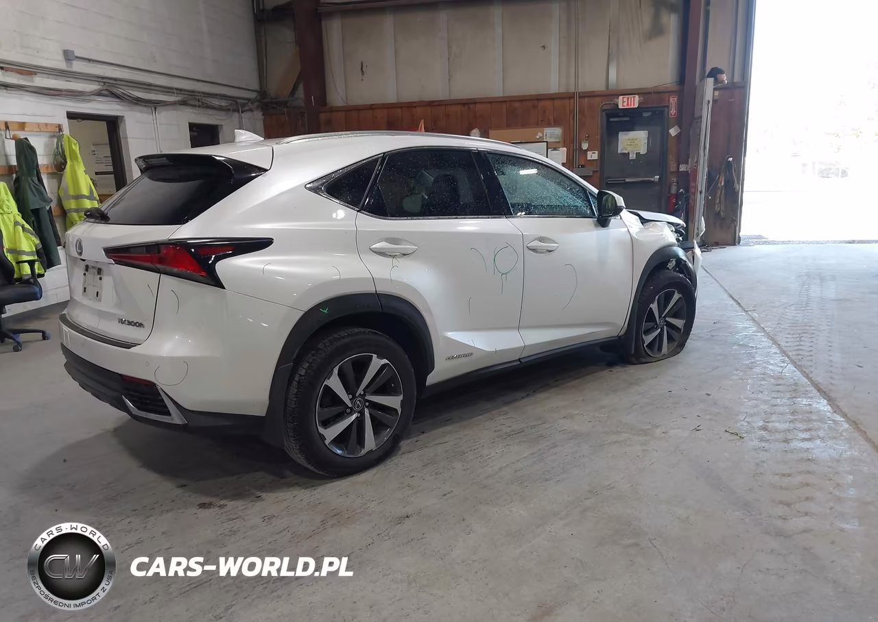 2020 Lexus Nx 300H VIN:JTJGJRDZ4L5008485 - 4