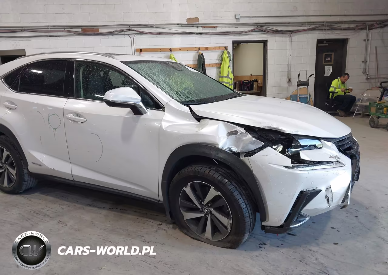 2020 Lexus Nx 300H VIN:JTJGJRDZ4L5008485 - 6