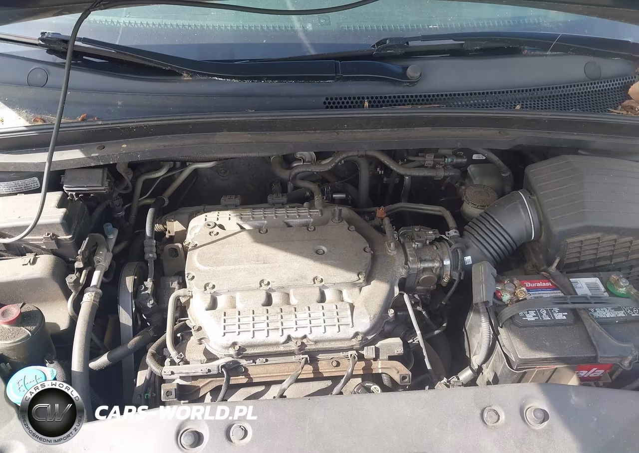 2005 Honda Odyssey Ex VIN:5FNRL384X5B411003 - 10