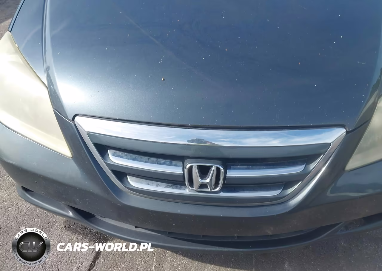 2005 Honda Odyssey Ex VIN:5FNRL384X5B411003 - 6