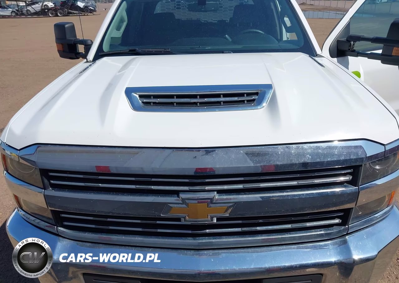 2018 Chevrolet Silverado 3500Hd Chassis Wt VIN:1GB4KYCY8JF206410 - 6