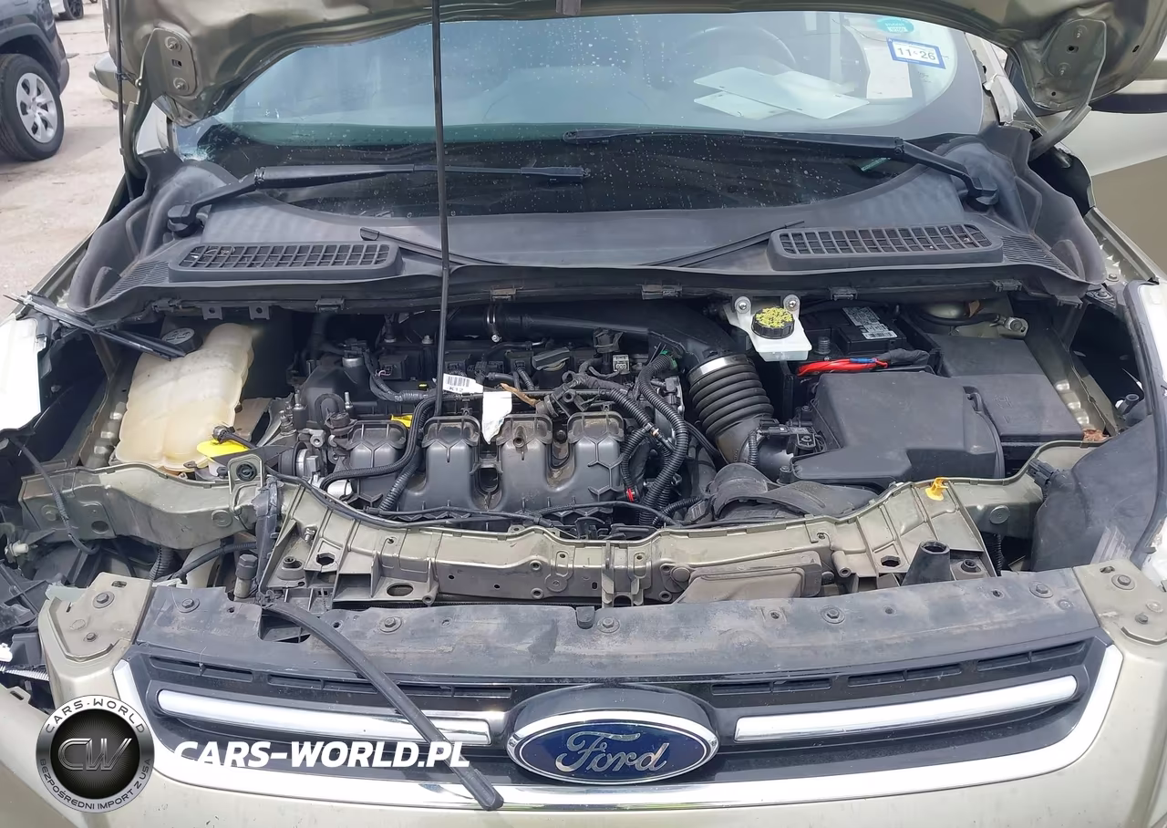 2013 Ford Escape Sel VIN:1FMCU0H90DUB17480 - 10