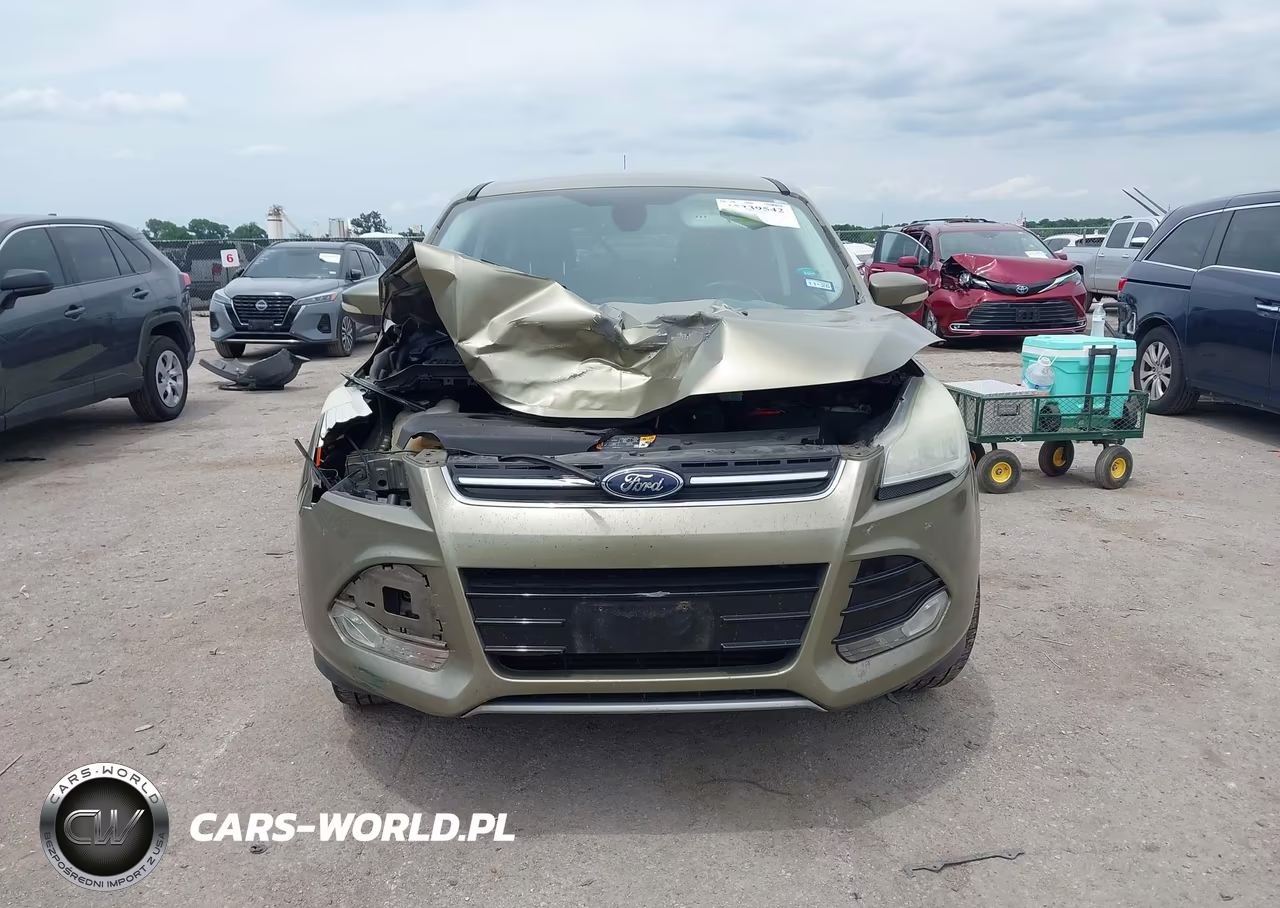 2013 Ford Escape Sel VIN:1FMCU0H90DUB17480 - 13