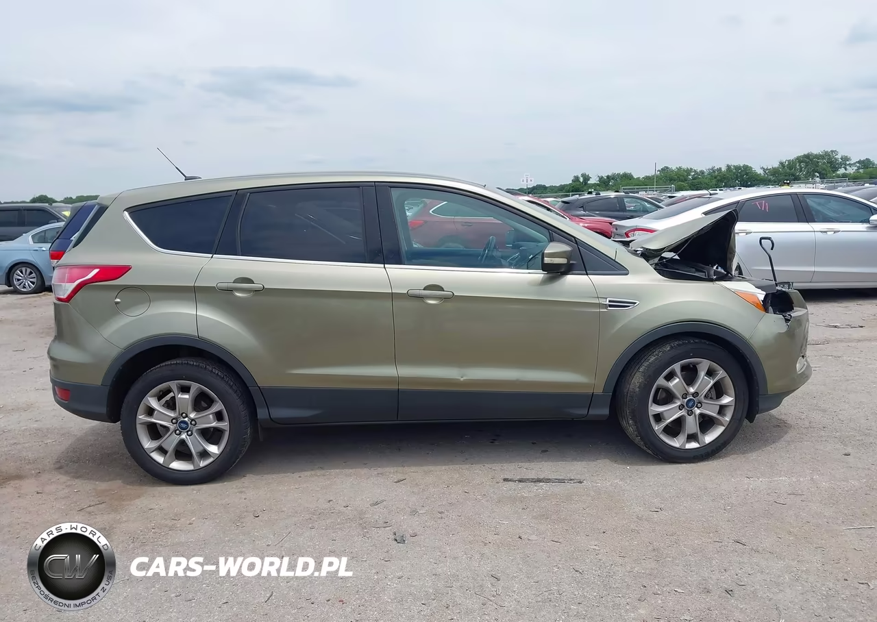 2013 Ford Escape Sel VIN:1FMCU0H90DUB17480 - 14