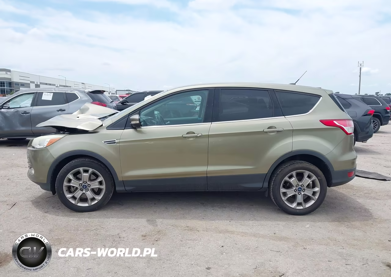 2013 Ford Escape Sel VIN:1FMCU0H90DUB17480 - 15