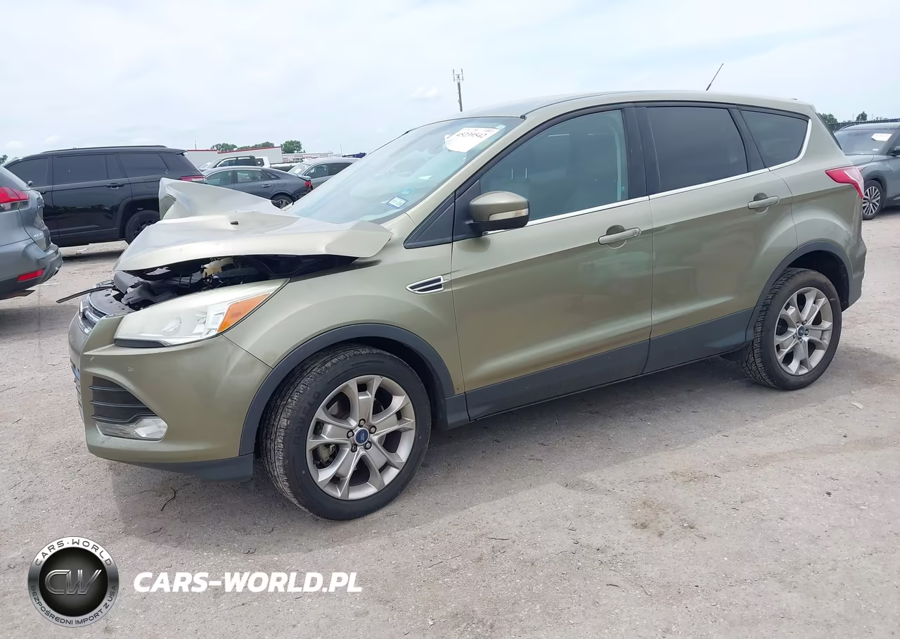 2013 Ford Escape Sel VIN:1FMCU0H90DUB17480 - 2