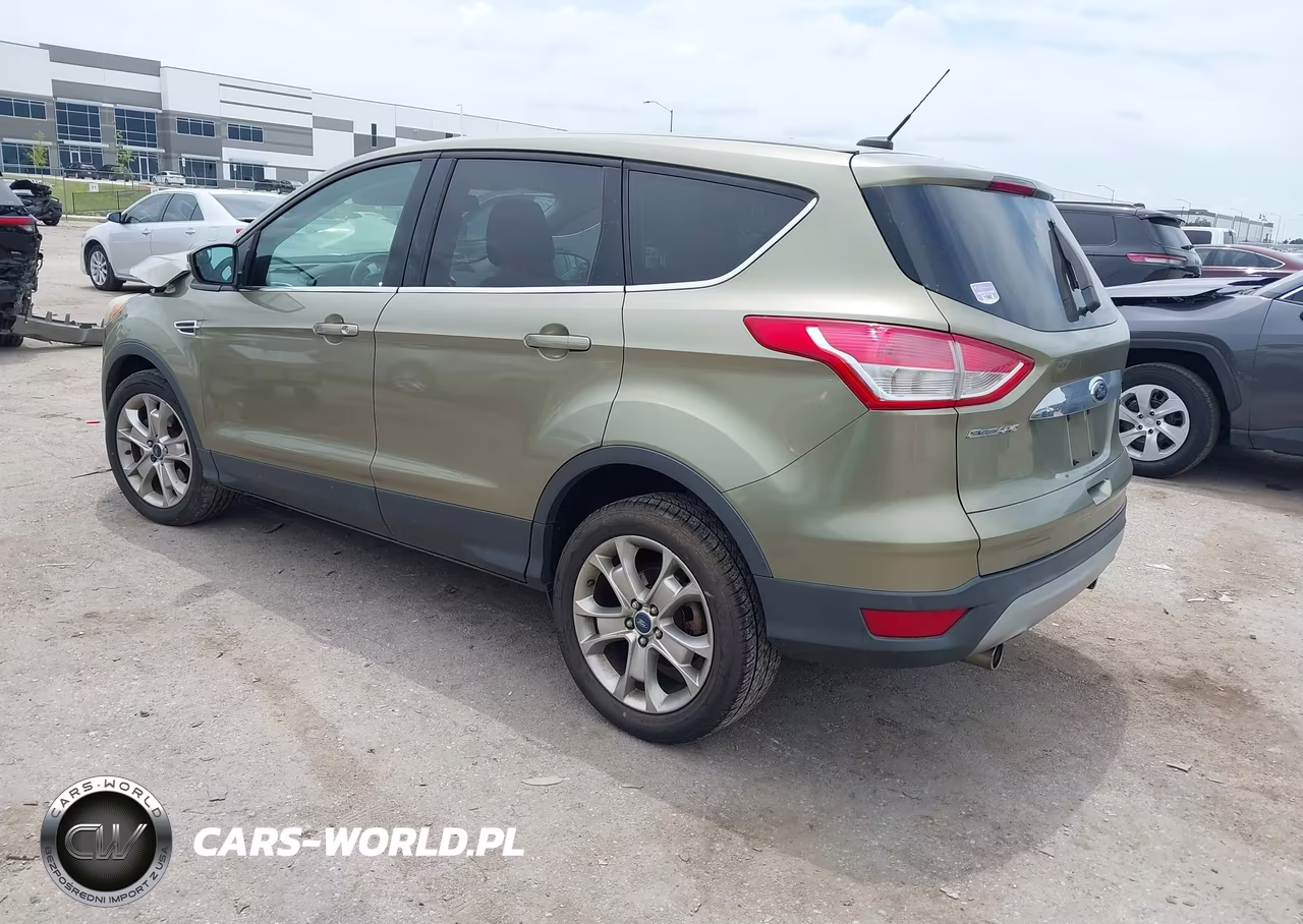 2013 Ford Escape Sel VIN:1FMCU0H90DUB17480 - 3