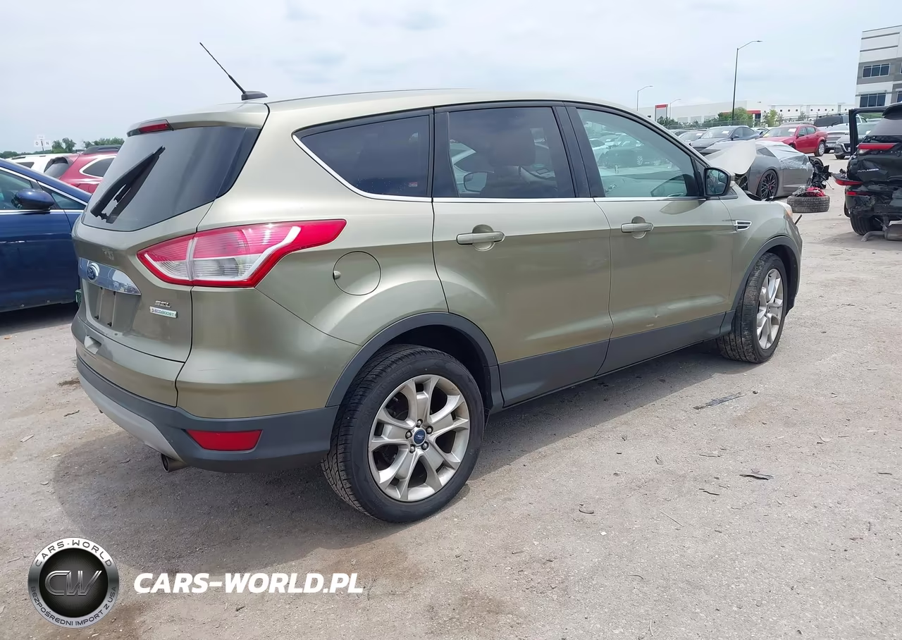 2013 Ford Escape Sel VIN:1FMCU0H90DUB17480 - 4