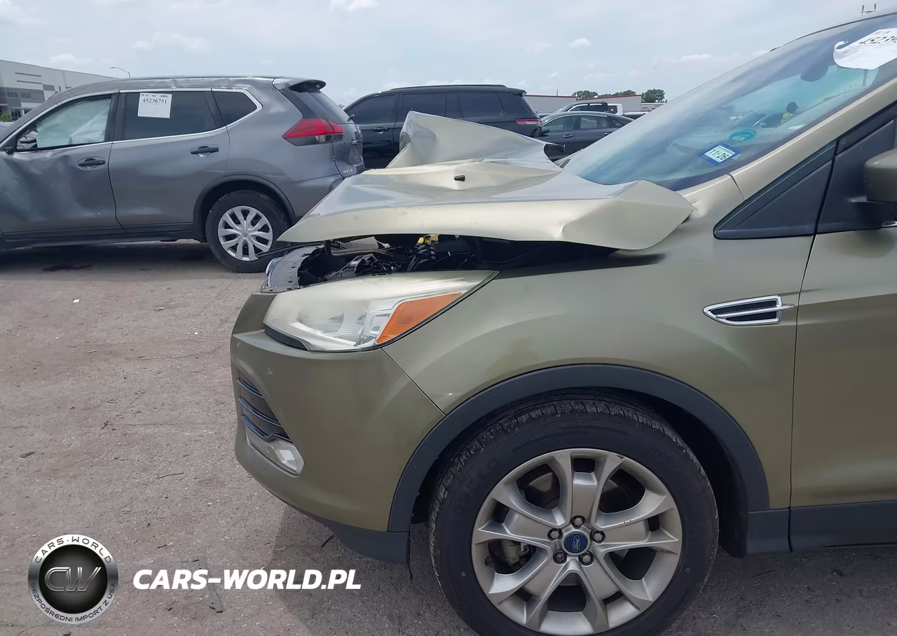 2013 Ford Escape Sel VIN:1FMCU0H90DUB17480 - 6