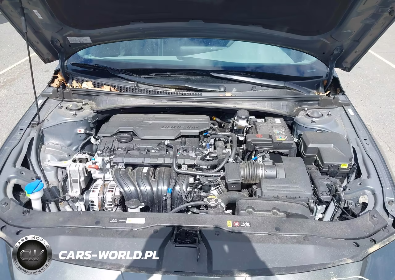 2024 Hyundai Elantra Sel VIN:KMHLS4DG8RU804408 - 10