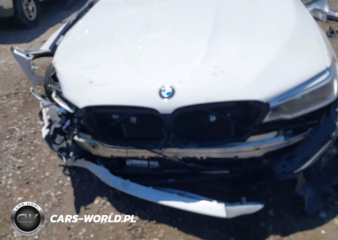 2018 BMW M5 VIN:WBSJF0C5XJB283628 - 10