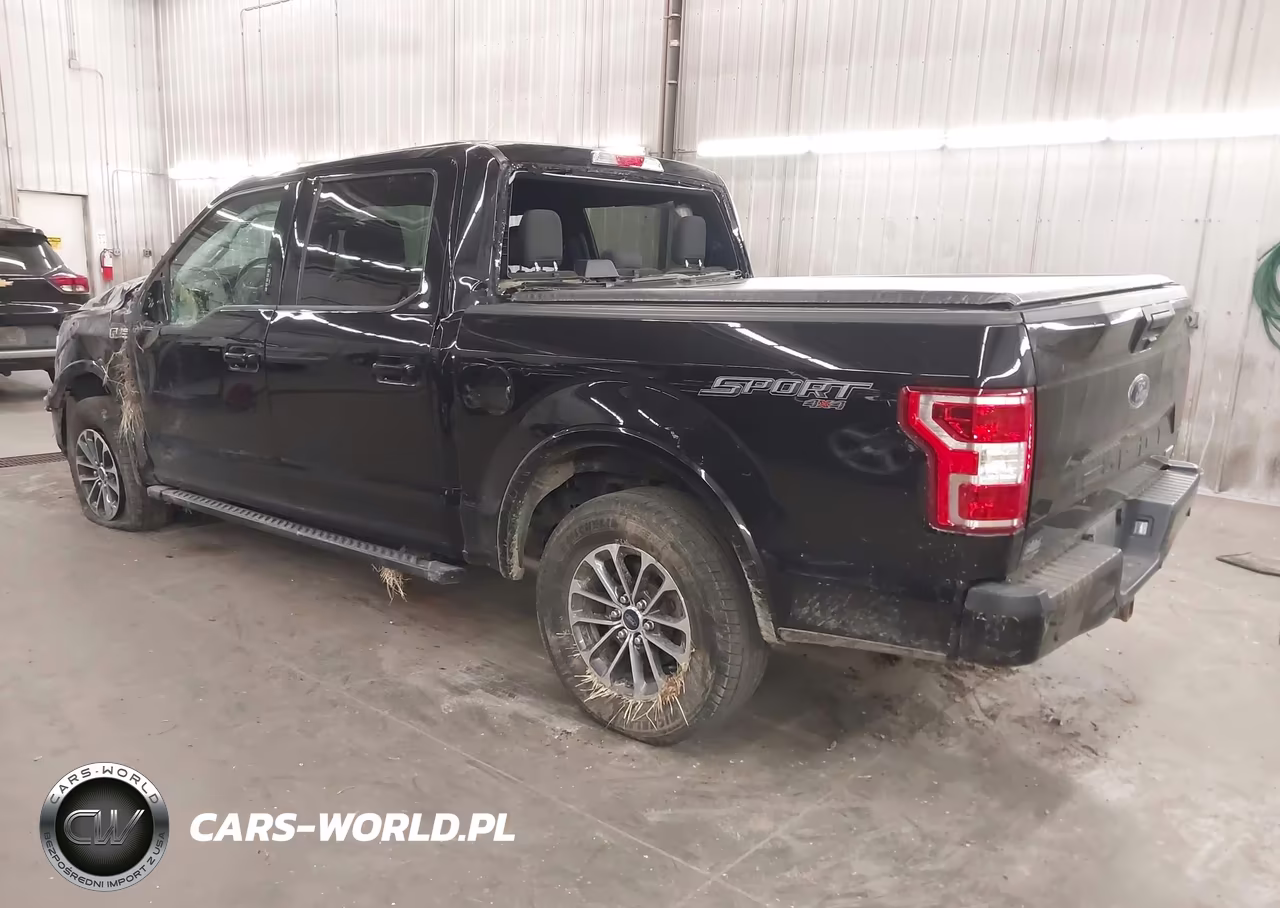 2020 Ford F-150 Xlt VIN:1FTEW1EP8LKE20002 - 3