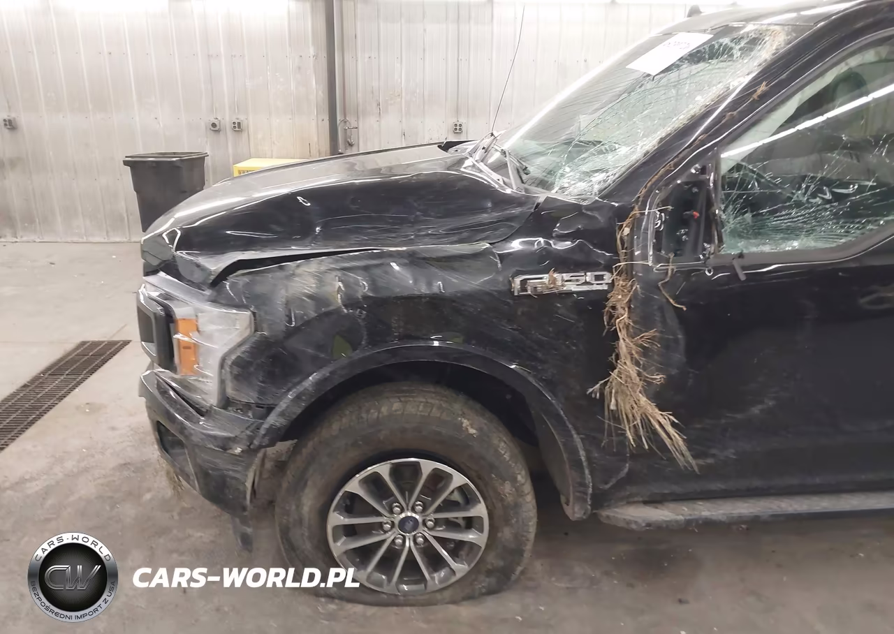 2020 Ford F-150 Xlt VIN:1FTEW1EP8LKE20002 - 6