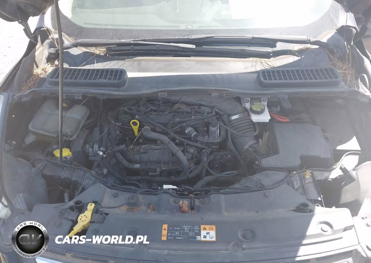 2014 Ford Escape Se VIN:1FMCU0GX7EUD86917 - 10