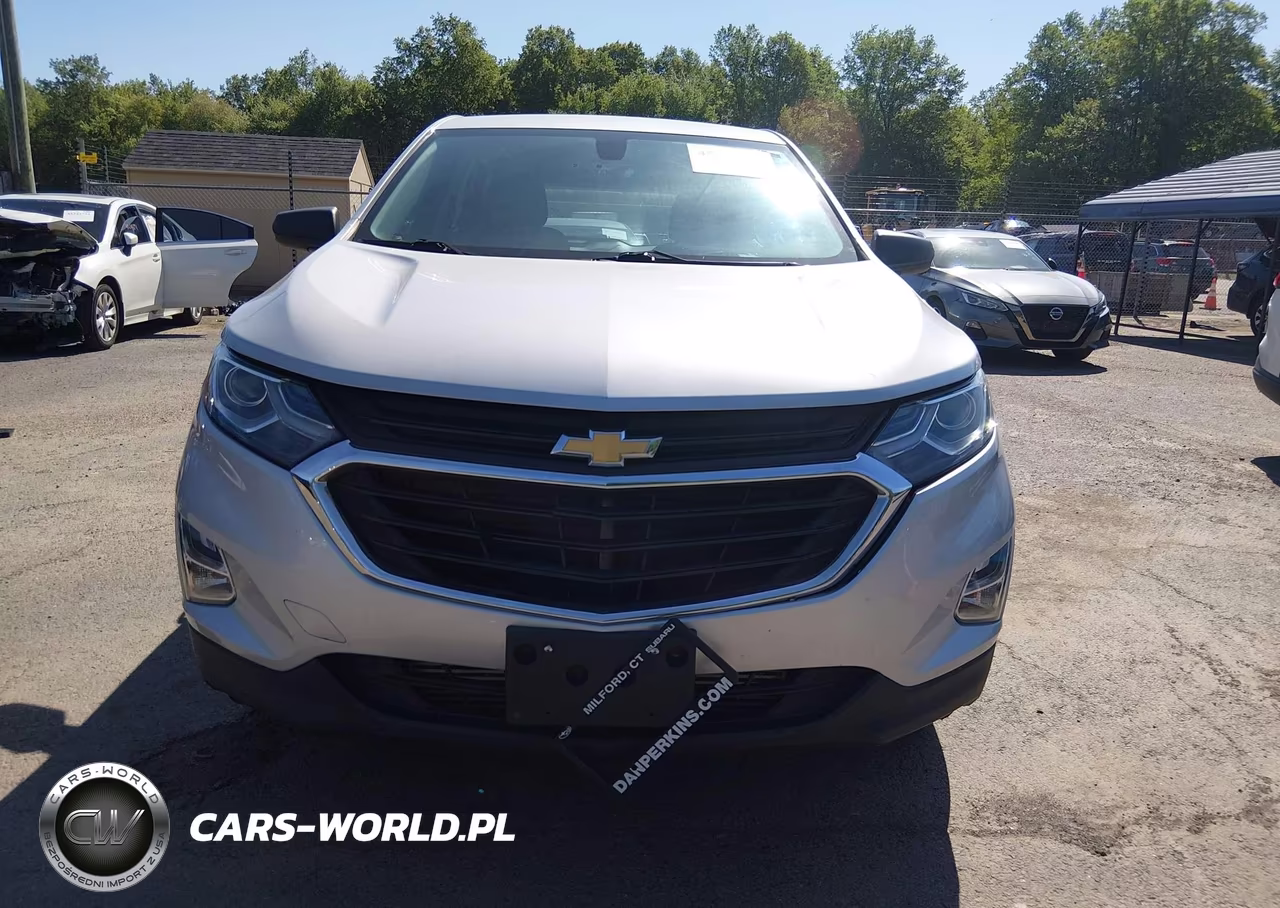 2019 Chevrolet Equinox Ls VIN:2GNAXSEV6K6159090 - 13