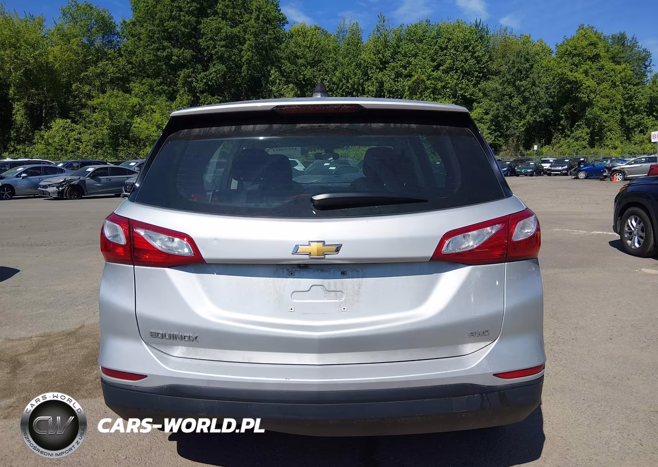 2019 Chevrolet Equinox Ls VIN:2GNAXSEV6K6159090 - 17