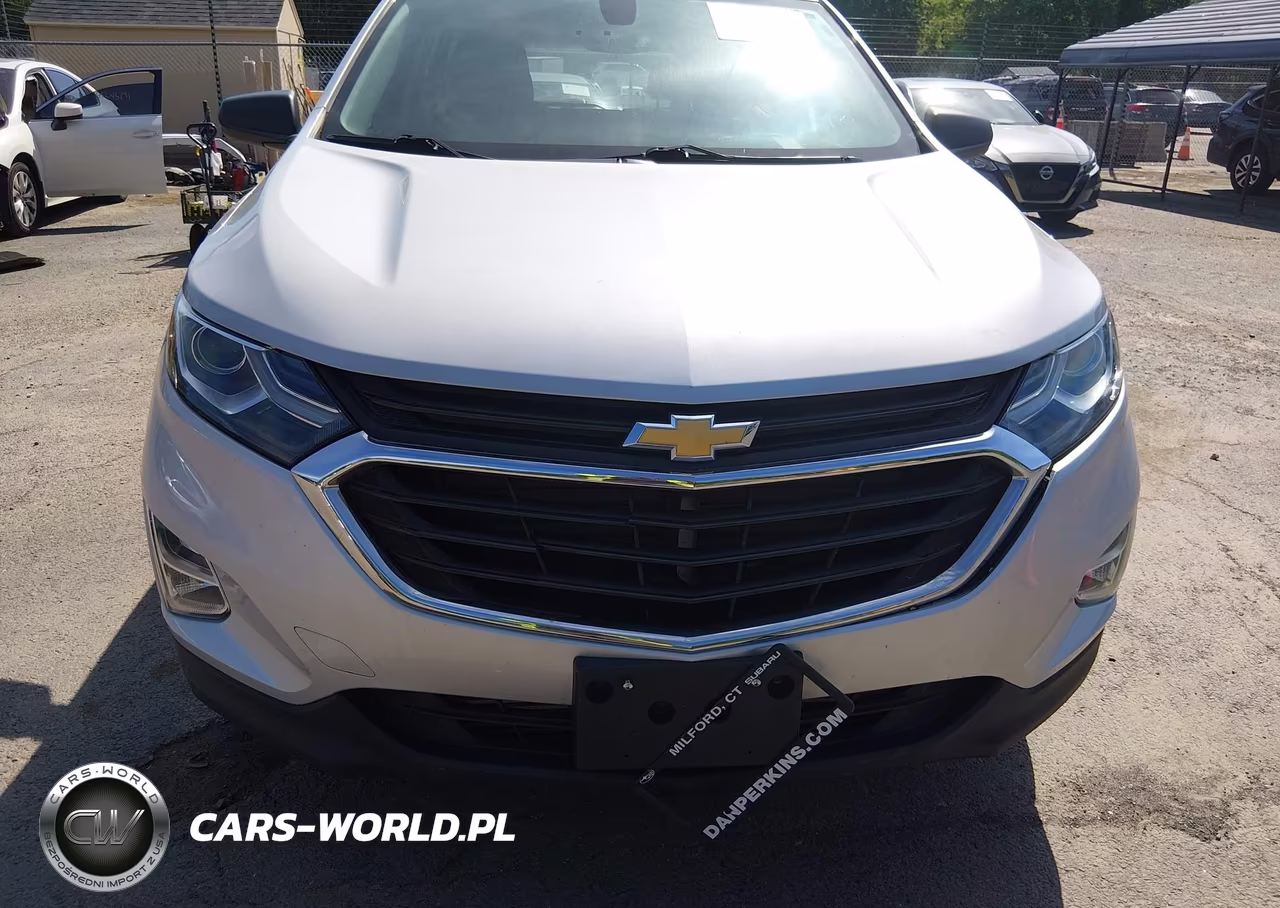 2019 Chevrolet Equinox Ls VIN:2GNAXSEV6K6159090 - 19
