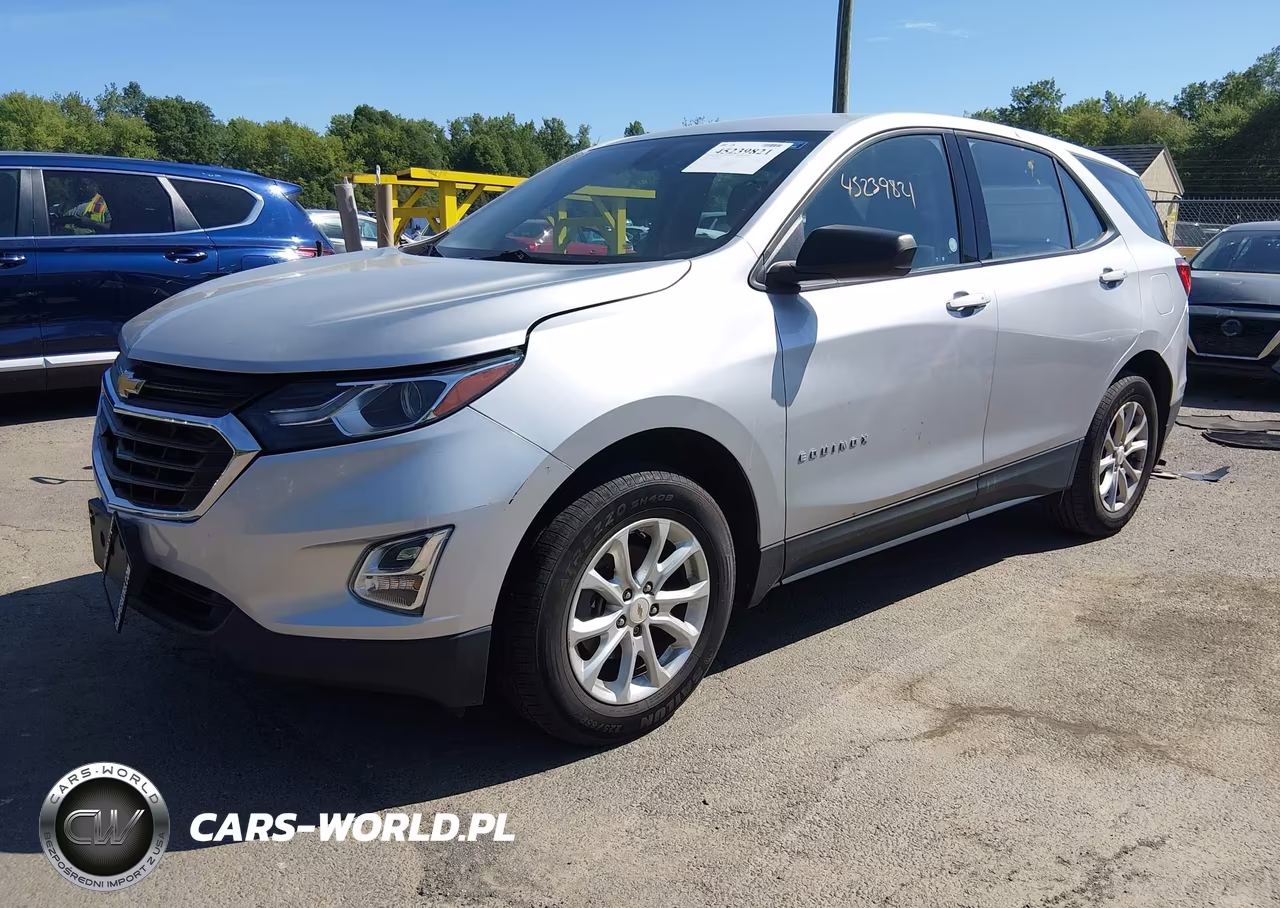 2019 Chevrolet Equinox Ls VIN:2GNAXSEV6K6159090 - 2