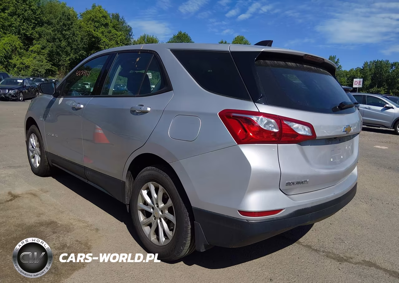 2019 Chevrolet Equinox Ls VIN:2GNAXSEV6K6159090 - 3