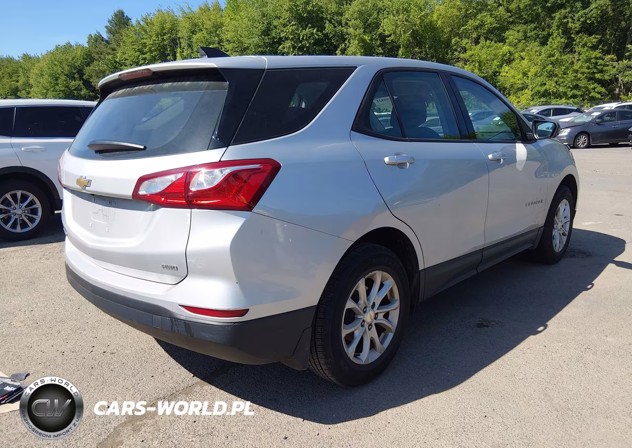 2019 Chevrolet Equinox Ls VIN:2GNAXSEV6K6159090 - 4