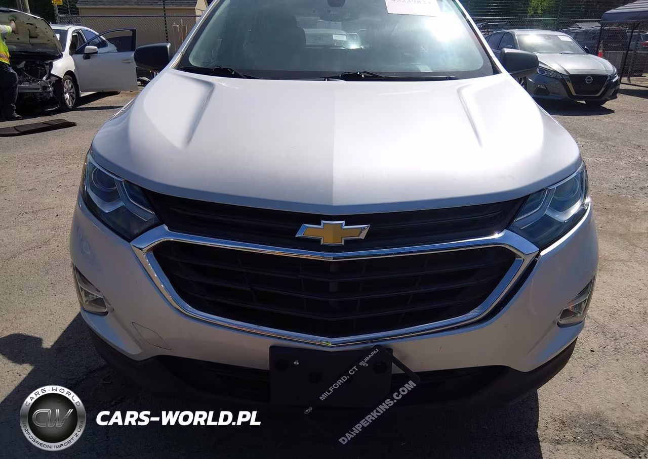 2019 Chevrolet Equinox Ls VIN:2GNAXSEV6K6159090 - 6