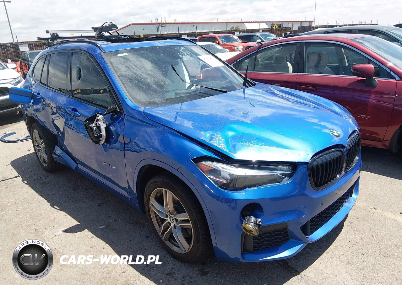 2017 BMW X1 xDrive28I – zdjęcie 1 z 17