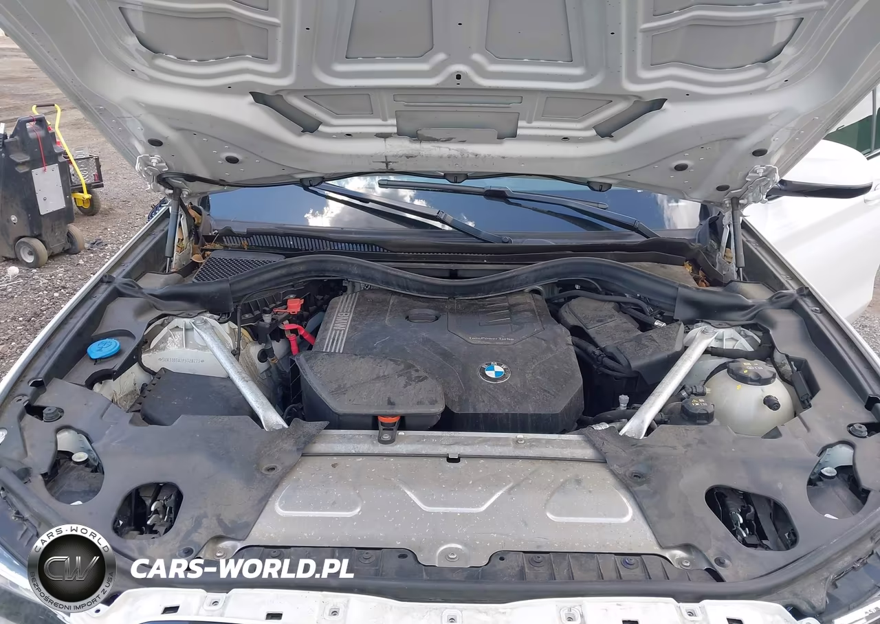 2023 BMW X4 xDrive30I VIN:5UX33DT02P9T28273 - 10
